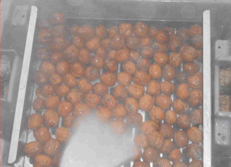 Caixa com grelha de lavagem