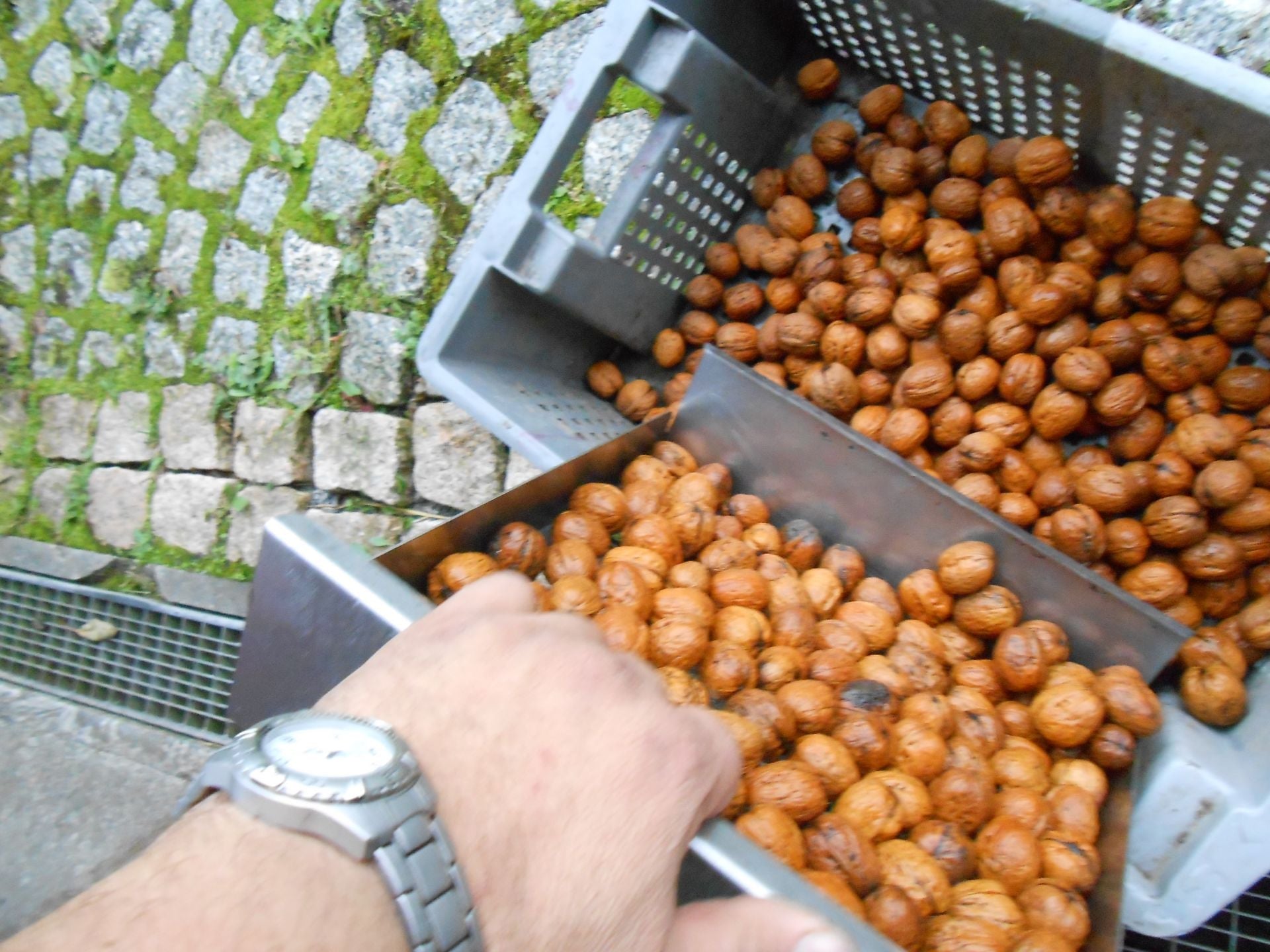 Caixa com grelha de lavagem