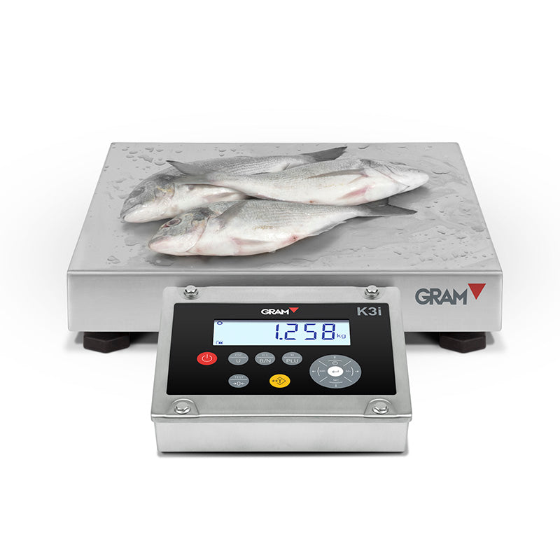 K3i - Indicadores Balanças