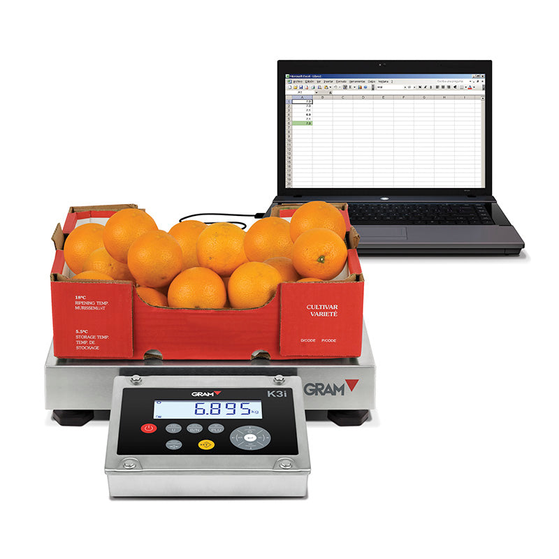 K3i - Indicadores Balanças