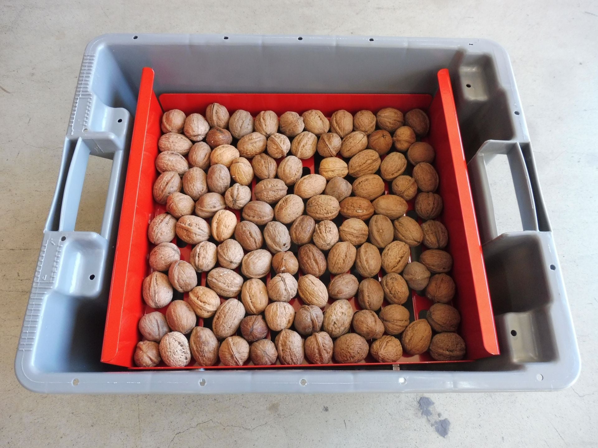 Caixa com grelha de lavagem