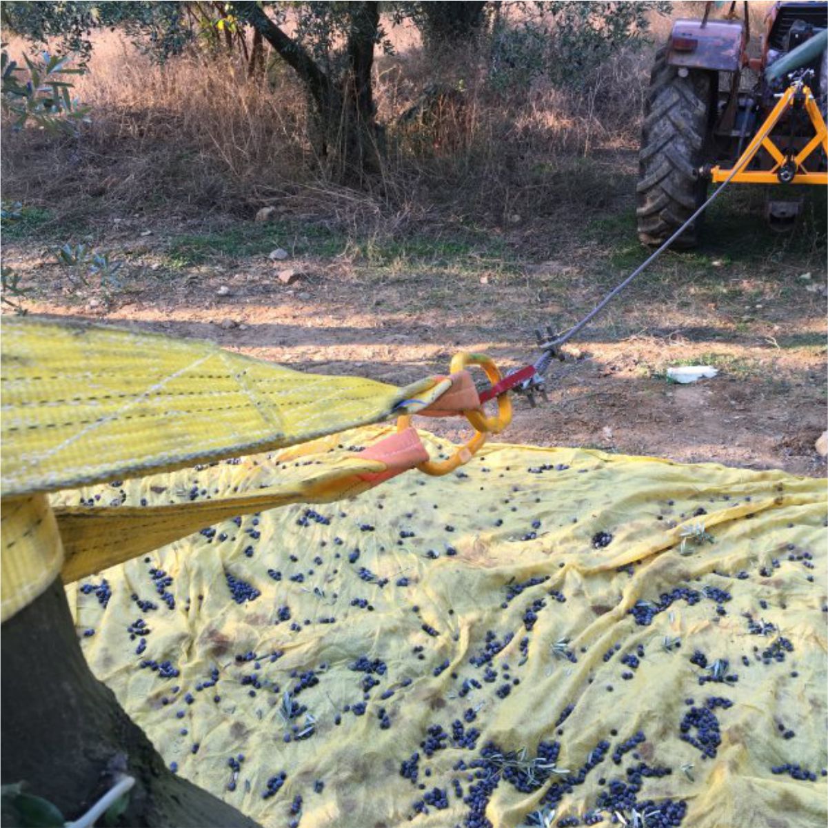 Vibrador de árvores HM600