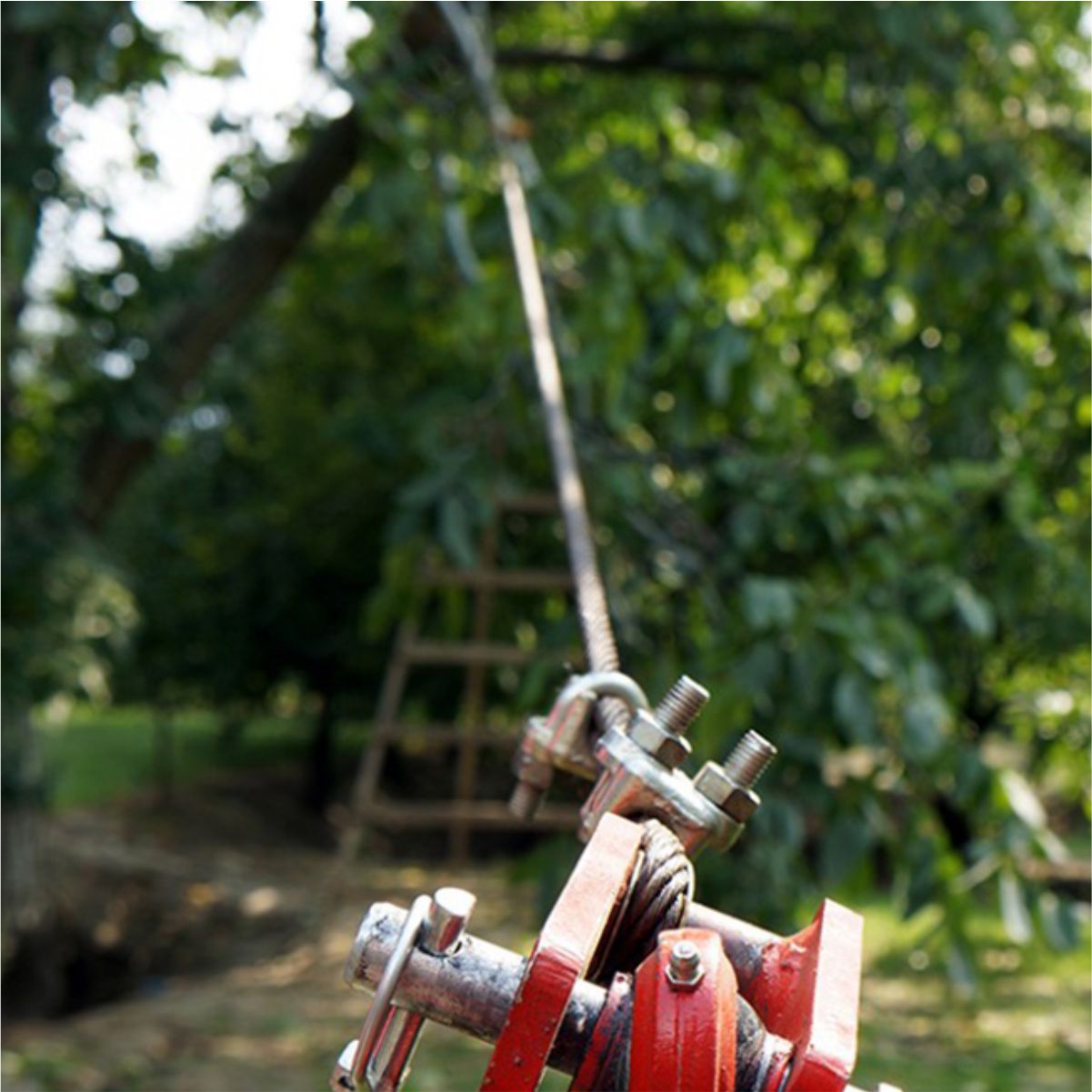 Vibrador de árvores HM600